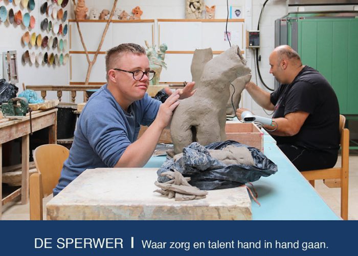 Infomagazine De Sperwer