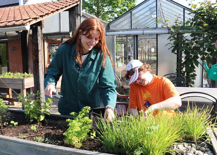 KIP_werk tuin